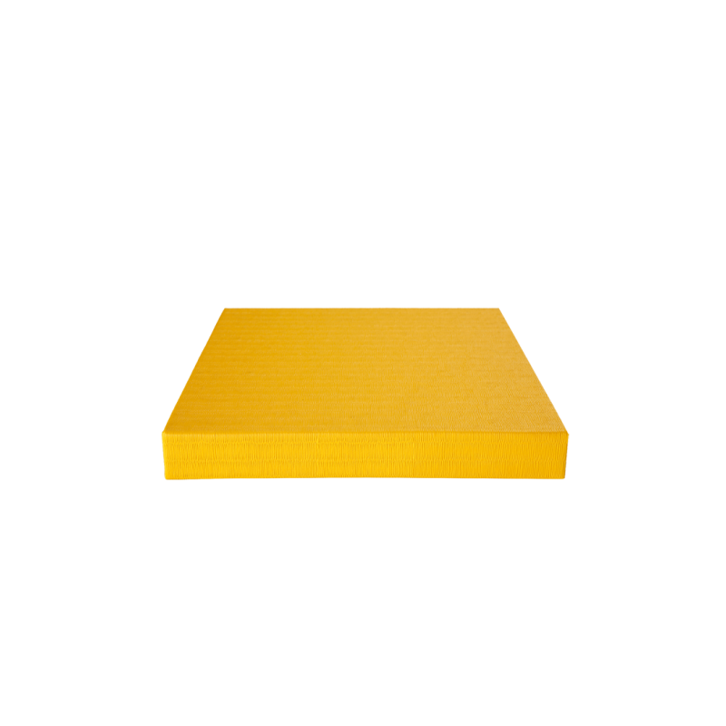 Agglorex Tatami Matte (Judo / MMA)