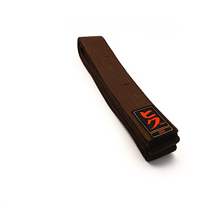 HIKU - Ceinture de Budo (marron)