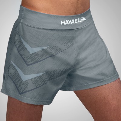 HAYABUSA Arrow - Kickboxing Shorts (grau)
