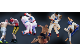 Les arts martiaux sous la loupe