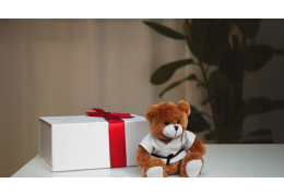 Le guide (pas si) sérieux des cadeaux de Noël pour les pratiquants d’arts martiaux