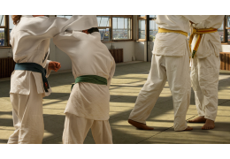 Die Gürtelfarben im Judo
